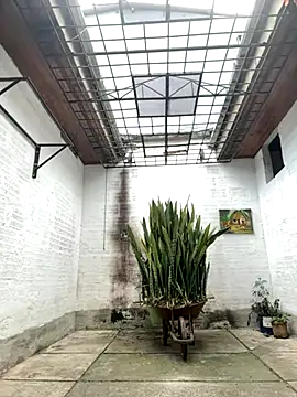 Snapshot of oliver_price1 chatting on 09-26-25, 07:07 oliver price1 online show from 09-26-25, 07:07