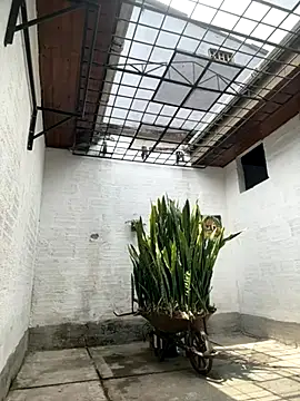 Snapshot of oliver_price1 chatting on 10-06-25, 04:04 oliver price1 online show from 10-06-25, 04:04