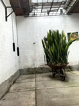 Snapshot of oliver_price1 chatting on 10-21-25, 03:13 oliver price1 online show from 10-21-25, 03:13