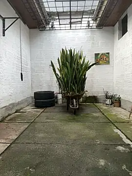 Snapshot of oliver_price1 chatting on 11-12-25, 09:14 oliver price1 online show from 11-12-25, 09:14