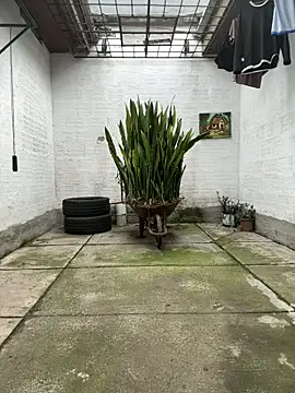 Snapshot of oliver_price1 chatting on 11-13-25, 09:14 oliver price1 online show from 11-13-25, 09:14