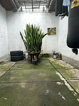 Snapshot of oliver_price1 chatting on 11-16-25, 08:03 oliver price1 online show from 11-16-25, 08:03